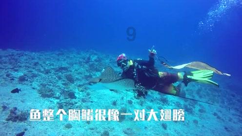 微电影《漠上之光2》获奖