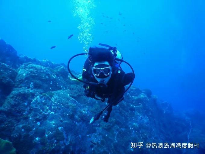 小猫钓鱼正版下载中文版