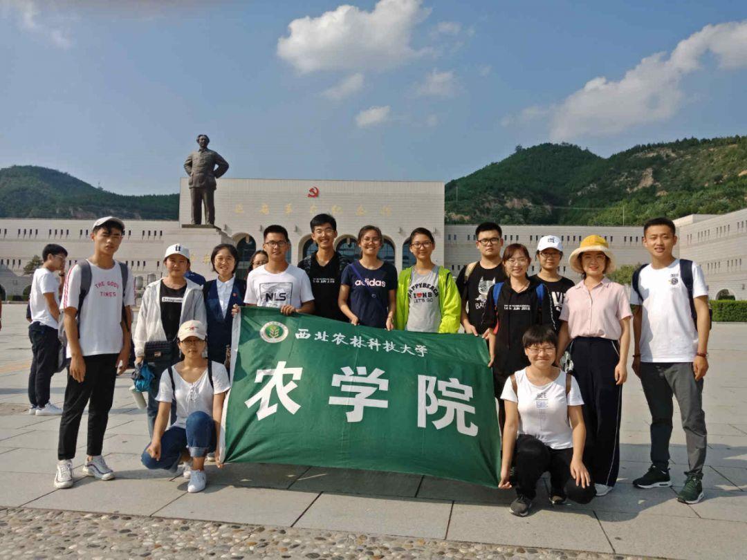 如何激发宝宝的精细动作技能