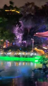 春雨直播app